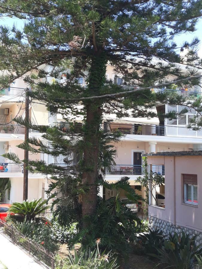 Marilias Apartment بريفيزا المظهر الخارجي الصورة
